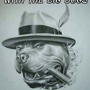 Meet your Posher, Dave